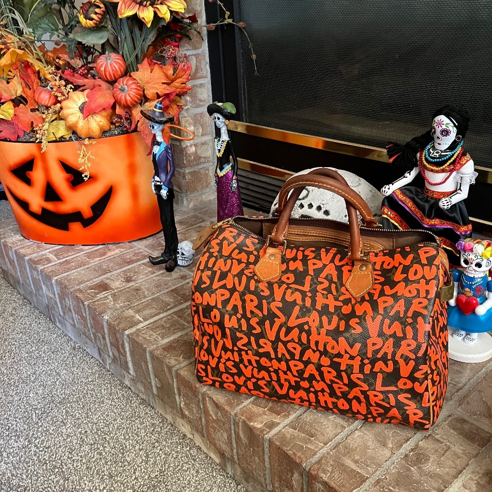 Louis Vuitton speedy 30 graffiti